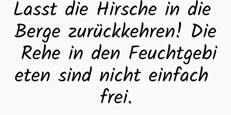 Lasst die Hirsche in die Berge zurückkehren! Die Rehe in den Feuchtgebieten sind nicht einfach frei.