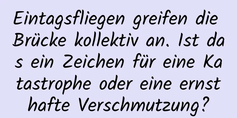 Eintagsfliegen greifen die Brücke kollektiv an. Ist das ein Zeichen für eine Katastrophe oder eine ernsthafte Verschmutzung?