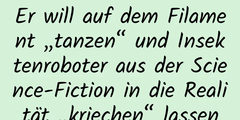 Er will auf dem Filament „tanzen“ und Insektenroboter aus der Science-Fiction in die Realität „kriechen“ lassen