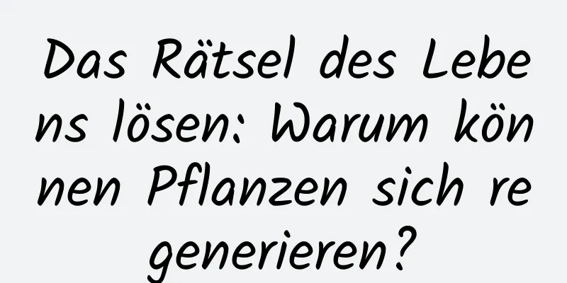 Das Rätsel des Lebens lösen: Warum können Pflanzen sich regenerieren?