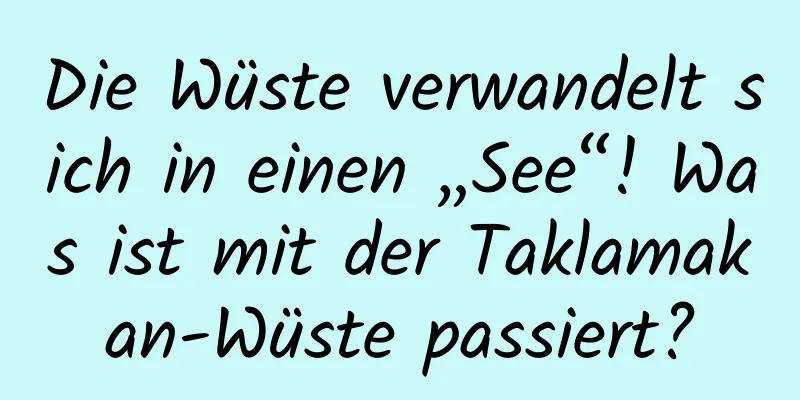 Die Wüste verwandelt sich in einen „See“! Was ist mit der Taklamakan-Wüste passiert?