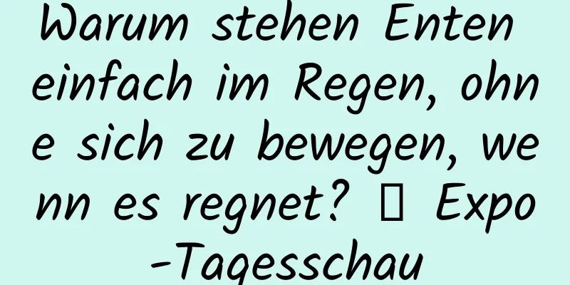 Warum stehen Enten einfach im Regen, ohne sich zu bewegen, wenn es regnet? ｜ Expo-Tagesschau