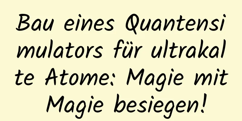 Bau eines Quantensimulators für ultrakalte Atome: Magie mit Magie besiegen!
