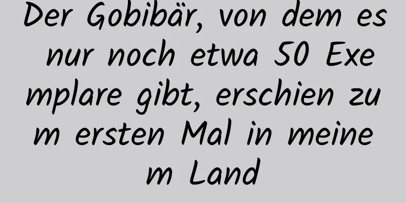 Der Gobibär, von dem es nur noch etwa 50 Exemplare gibt, erschien zum ersten Mal in meinem Land