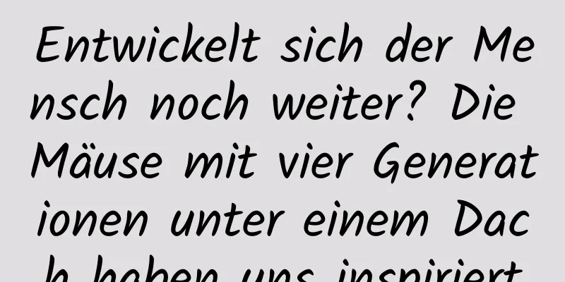Entwickelt sich der Mensch noch weiter? Die Mäuse mit vier Generationen unter einem Dach haben uns inspiriert