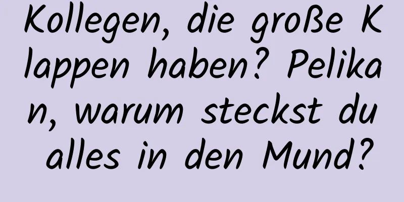 Kollegen, die große Klappen haben? Pelikan, warum steckst du alles in den Mund?