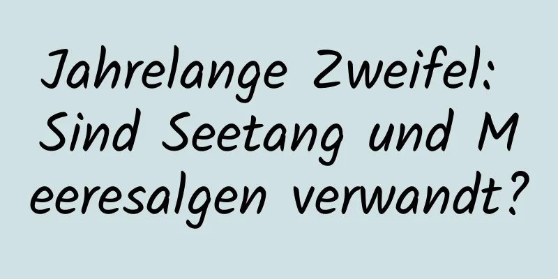 Jahrelange Zweifel: Sind Seetang und Meeresalgen verwandt?