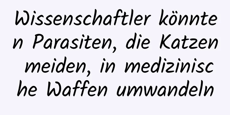 Wissenschaftler könnten Parasiten, die Katzen meiden, in medizinische Waffen umwandeln