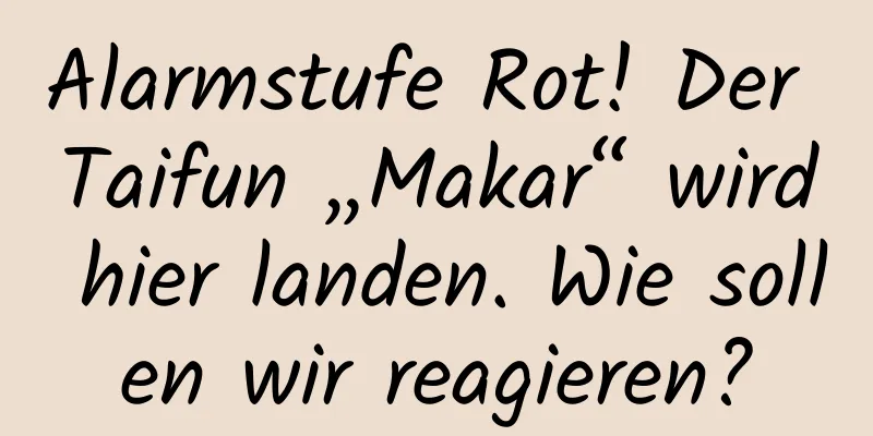 Alarmstufe Rot! Der Taifun „Makar“ wird hier landen. Wie sollen wir reagieren?