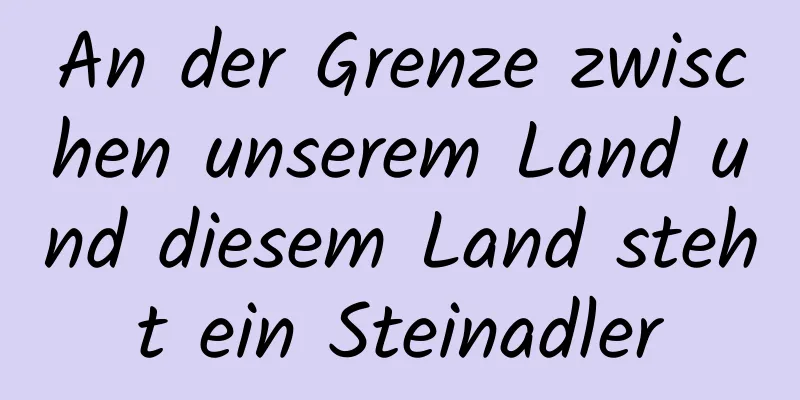 An der Grenze zwischen unserem Land und diesem Land steht ein Steinadler