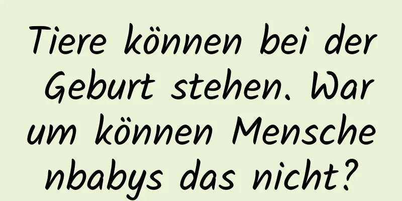 Tiere können bei der Geburt stehen. Warum können Menschenbabys das nicht?