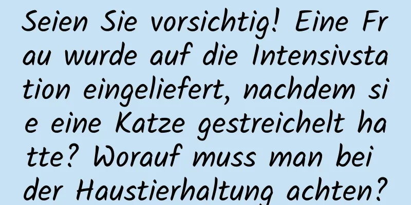 Seien Sie vorsichtig! Eine Frau wurde auf die Intensivstation eingeliefert, nachdem sie eine Katze gestreichelt hatte? Worauf muss man bei der Haustierhaltung achten?