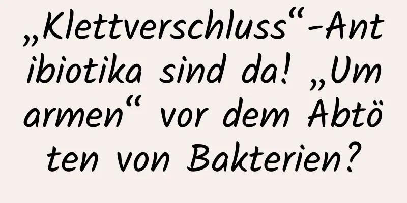 „Klettverschluss“-Antibiotika sind da! „Umarmen“ vor dem Abtöten von Bakterien?