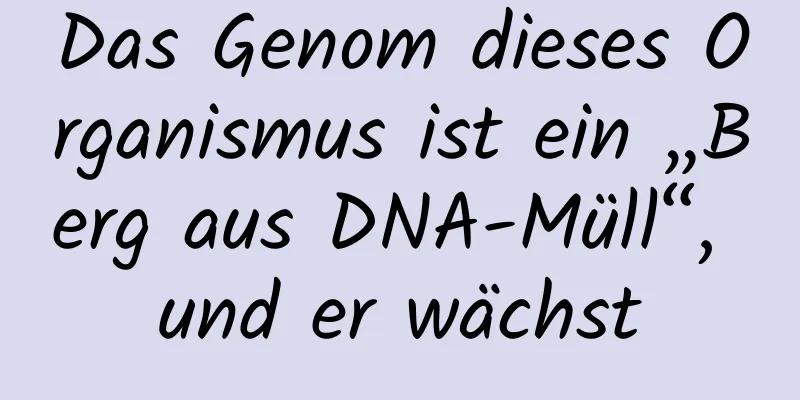 Das Genom dieses Organismus ist ein „Berg aus DNA-Müll“, und er wächst