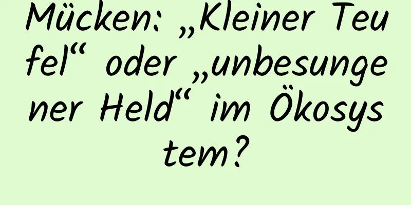 Mücken: „Kleiner Teufel“ oder „unbesungener Held“ im Ökosystem?