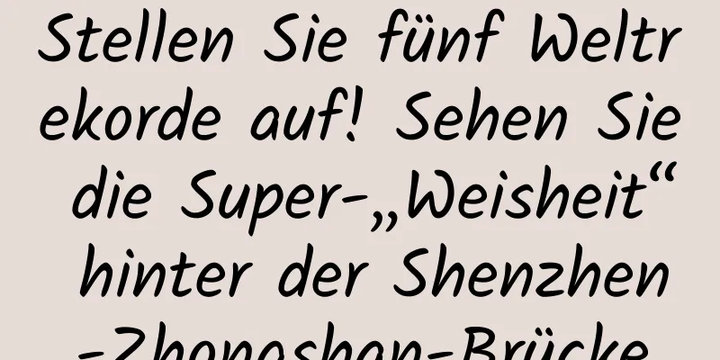 Stellen Sie fünf Weltrekorde auf! Sehen Sie die Super-„Weisheit“ hinter der Shenzhen-Zhongshan-Brücke