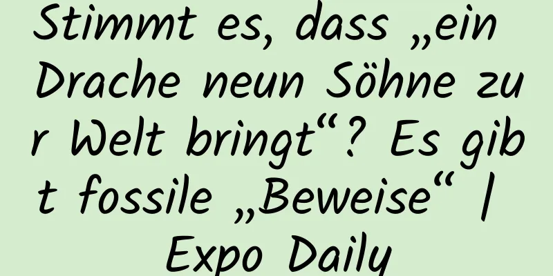 Stimmt es, dass „ein Drache neun Söhne zur Welt bringt“? Es gibt fossile „Beweise“ | Expo Daily