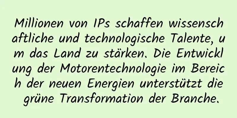 Millionen von IPs schaffen wissenschaftliche und technologische Talente, um das Land zu stärken. Die Entwicklung der Motorentechnologie im Bereich der neuen Energien unterstützt die grüne Transformation der Branche.