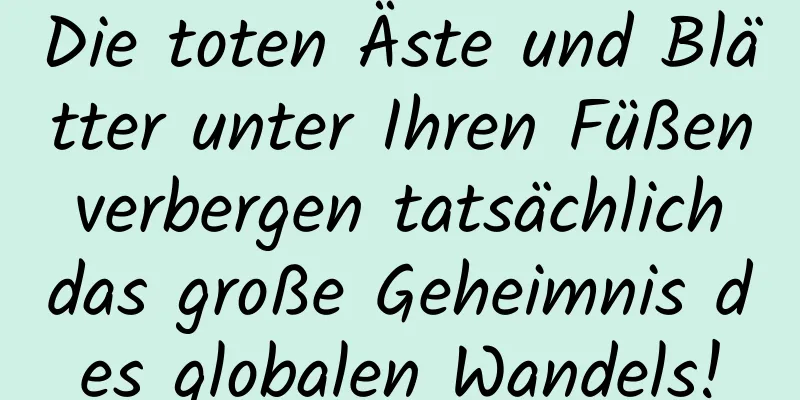 Die toten Äste und Blätter unter Ihren Füßen verbergen tatsächlich das große Geheimnis des globalen Wandels!