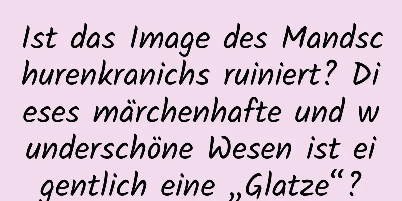Ist das Image des Mandschurenkranichs ruiniert? Dieses märchenhafte und wunderschöne Wesen ist eigentlich eine „Glatze“?