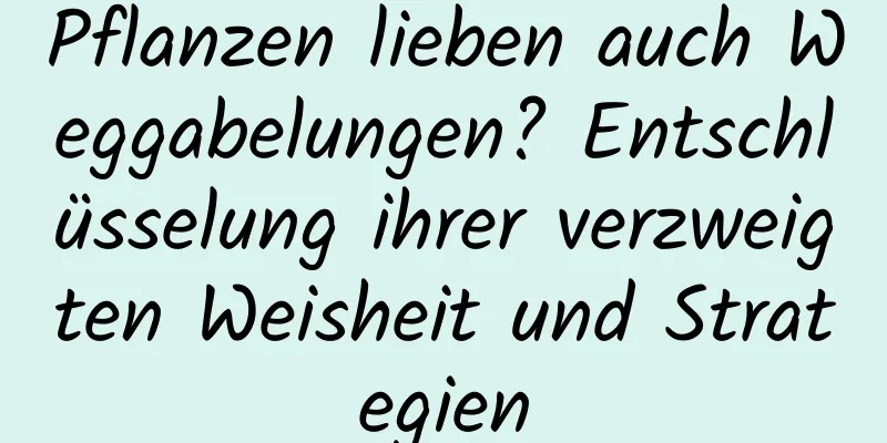 Pflanzen lieben auch Weggabelungen? Entschlüsselung ihrer verzweigten Weisheit und Strategien