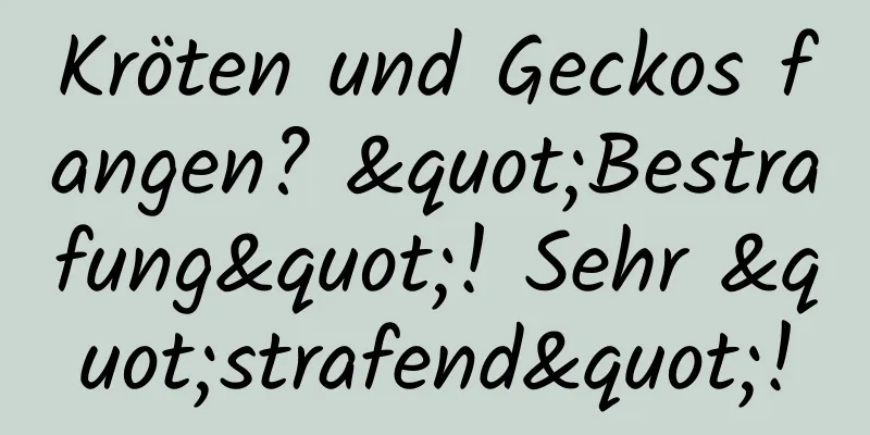 Kröten und Geckos fangen? "Bestrafung"! Sehr "strafend"!
