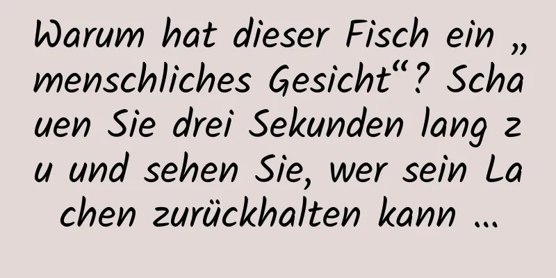 Warum hat dieser Fisch ein „menschliches Gesicht“? Schauen Sie drei Sekunden lang zu und sehen Sie, wer sein Lachen zurückhalten kann …
