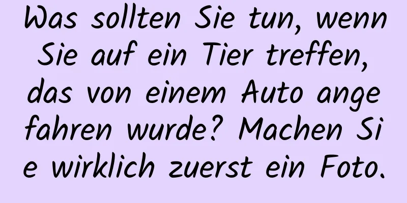 Was sollten Sie tun, wenn Sie auf ein Tier treffen, das von einem Auto angefahren wurde? Machen Sie wirklich zuerst ein Foto.