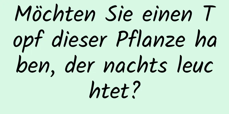 Möchten Sie einen Topf dieser Pflanze haben, der nachts leuchtet?