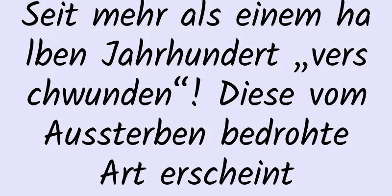 Seit mehr als einem halben Jahrhundert „verschwunden“! Diese vom Aussterben bedrohte Art erscheint