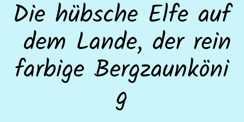 Die hübsche Elfe auf dem Lande, der reinfarbige Bergzaunkönig