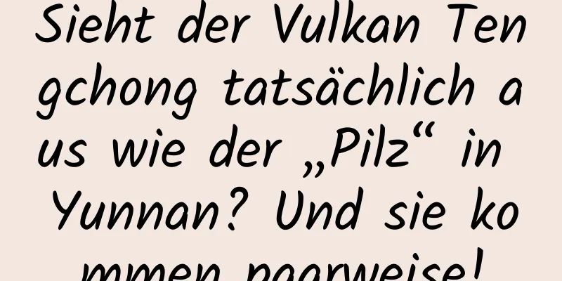 Sieht der Vulkan Tengchong tatsächlich aus wie der „Pilz“ in Yunnan? Und sie kommen paarweise!