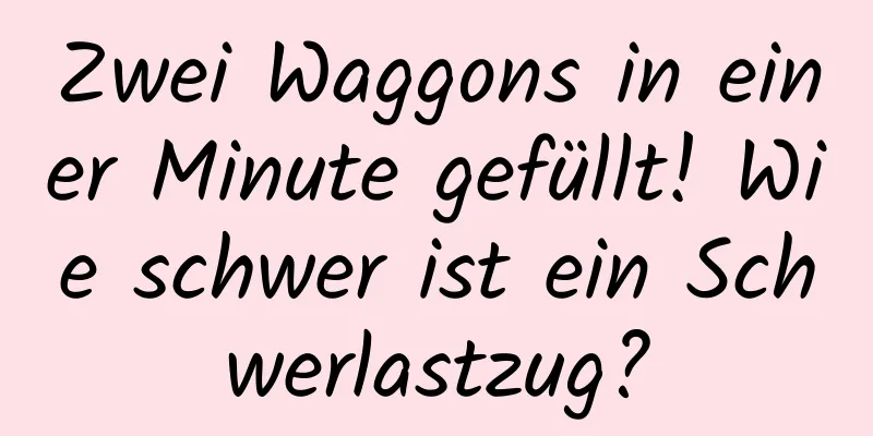 Zwei Waggons in einer Minute gefüllt! Wie schwer ist ein Schwerlastzug?