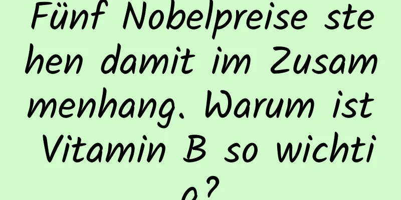 Fünf Nobelpreise stehen damit im Zusammenhang. Warum ist Vitamin B so wichtig?