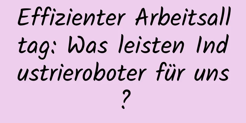 Effizienter Arbeitsalltag: Was leisten Industrieroboter für uns?