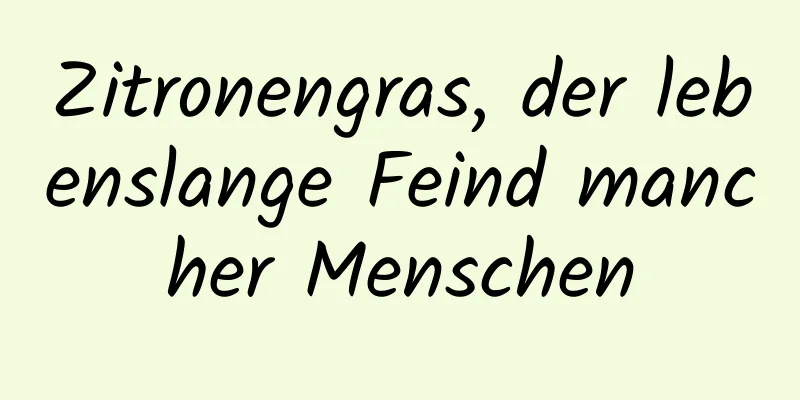 Zitronengras, der lebenslange Feind mancher Menschen