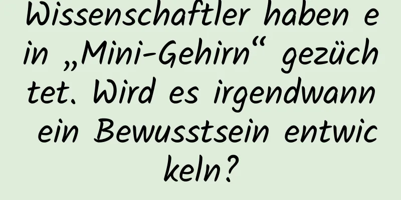 Wissenschaftler haben ein „Mini-Gehirn“ gezüchtet. Wird es irgendwann ein Bewusstsein entwickeln?