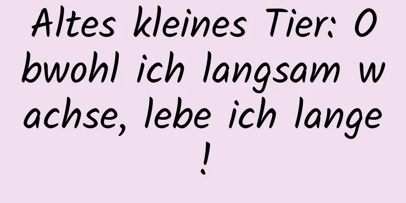 Altes kleines Tier: Obwohl ich langsam wachse, lebe ich lange!