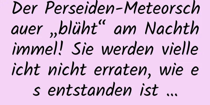 Der Perseiden-Meteorschauer „blüht“ am Nachthimmel! Sie werden vielleicht nicht erraten, wie es entstanden ist …