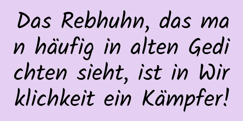 Das Rebhuhn, das man häufig in alten Gedichten sieht, ist in Wirklichkeit ein Kämpfer!