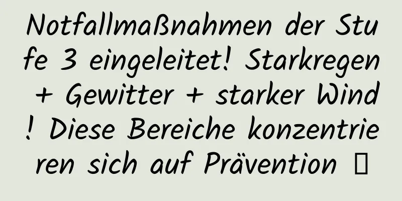 Notfallmaßnahmen der Stufe 3 eingeleitet! Starkregen + Gewitter + starker Wind! Diese Bereiche konzentrieren sich auf Prävention →
