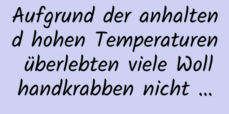 Aufgrund der anhaltend hohen Temperaturen überlebten viele Wollhandkrabben nicht …