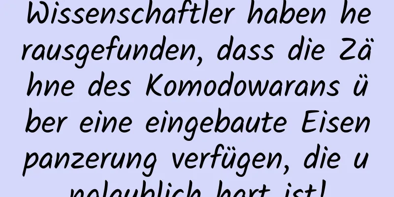 Wissenschaftler haben herausgefunden, dass die Zähne des Komodowarans über eine eingebaute Eisenpanzerung verfügen, die unglaublich hart ist!