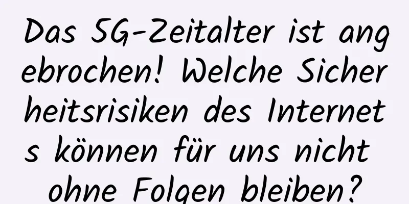 Das 5G-Zeitalter ist angebrochen! Welche Sicherheitsrisiken des Internets können für uns nicht ohne Folgen bleiben?