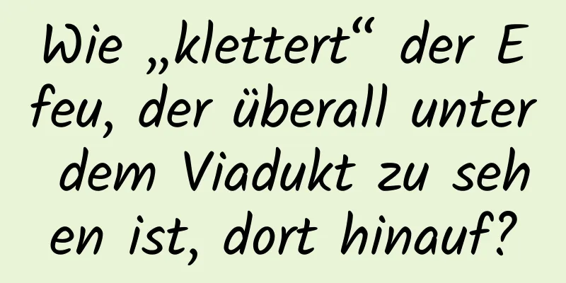 Wie „klettert“ der Efeu, der überall unter dem Viadukt zu sehen ist, dort hinauf?