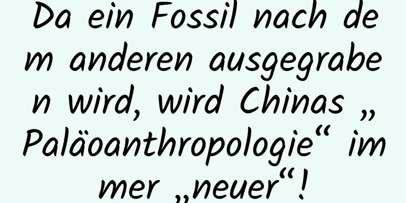 Da ein Fossil nach dem anderen ausgegraben wird, wird Chinas „Paläoanthropologie“ immer „neuer“!