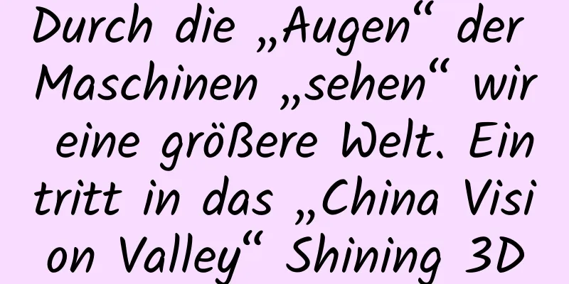 Durch die „Augen“ der Maschinen „sehen“ wir eine größere Welt. Eintritt in das „China Vision Valley“ Shining 3D