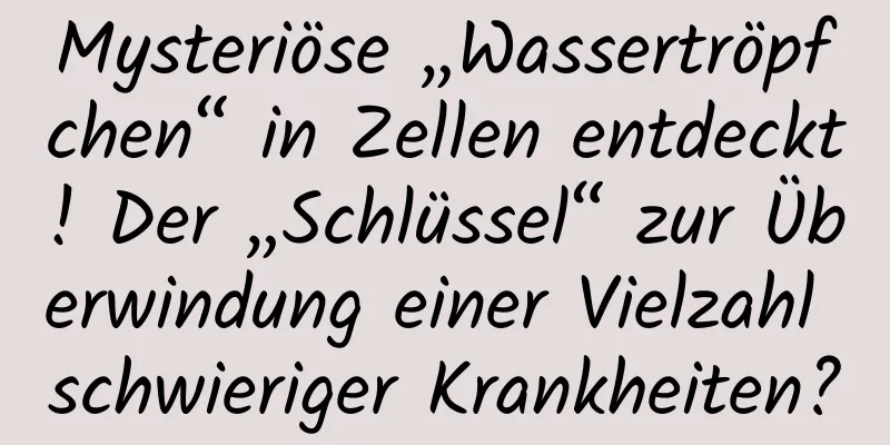 Mysteriöse „Wassertröpfchen“ in Zellen entdeckt! Der „Schlüssel“ zur Überwindung einer Vielzahl schwieriger Krankheiten?