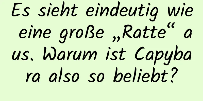Es sieht eindeutig wie eine große „Ratte“ aus. Warum ist Capybara also so beliebt?