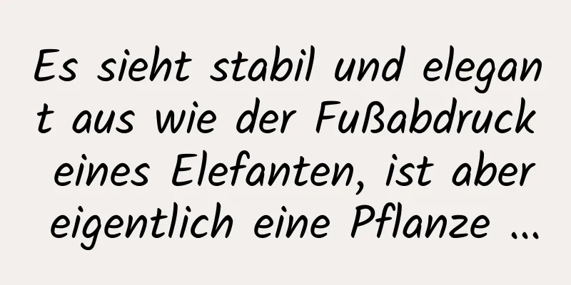Es sieht stabil und elegant aus wie der Fußabdruck eines Elefanten, ist aber eigentlich eine Pflanze ...
